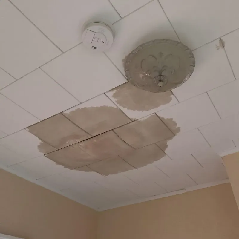 Ceiling Water Damage Repair in Groves, TX
