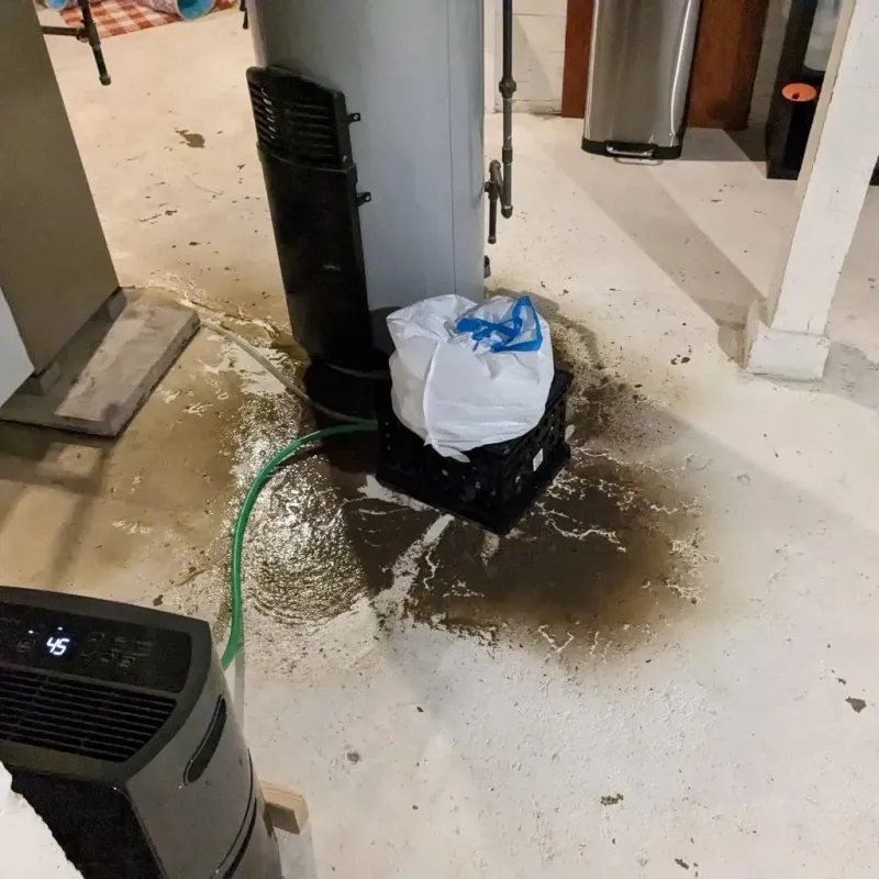 Sewage Backup Cleanup Service in Groves, TX